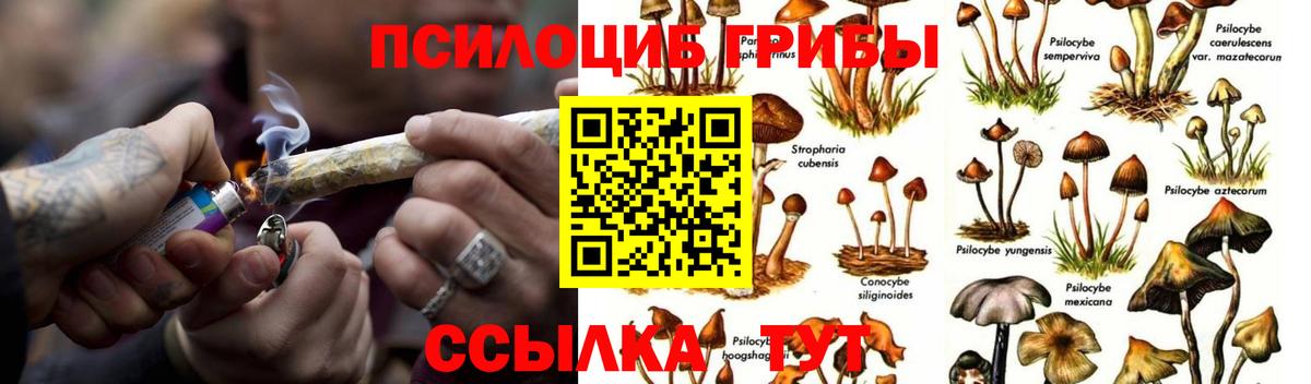 Пенза  Псилоцибиновые грибы мухоморы  Вход с VPN 